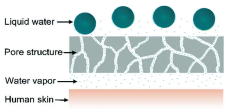 透湿微孔扩散机制