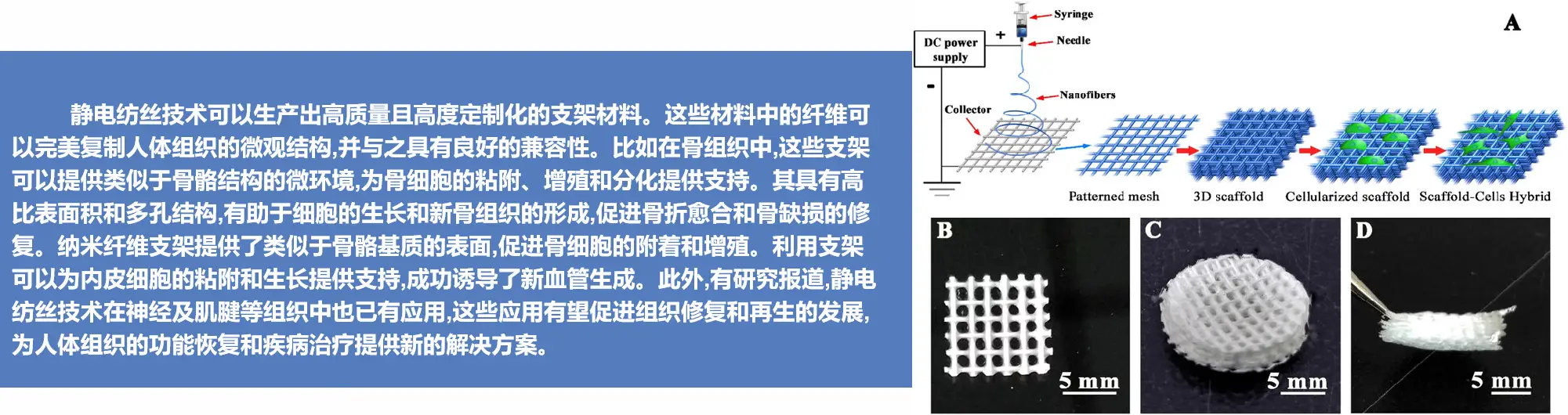 在组织工程支架领域的应用