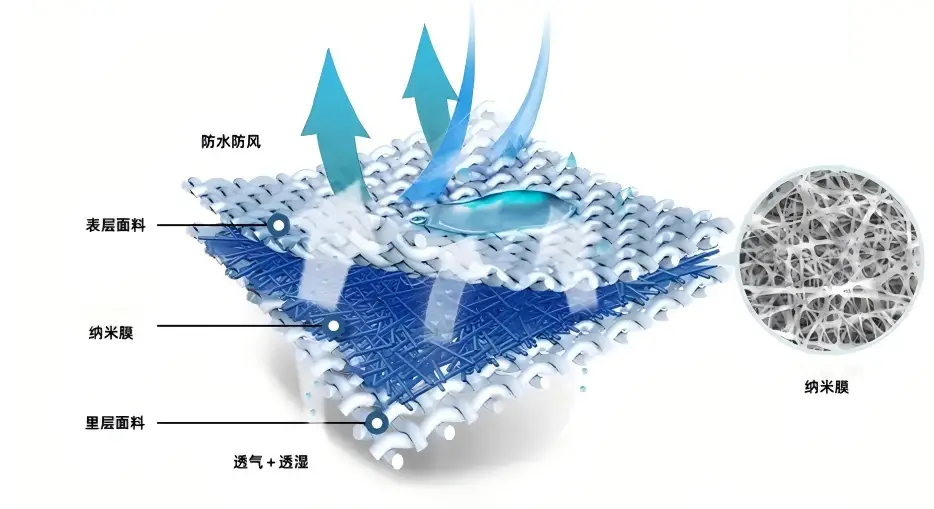 图片3