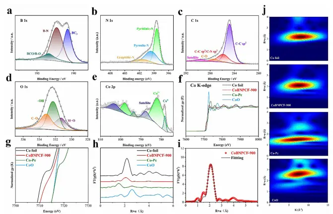 图2:微观形貌与结构