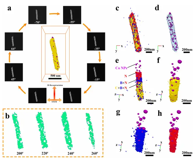 图3:微观成分分布