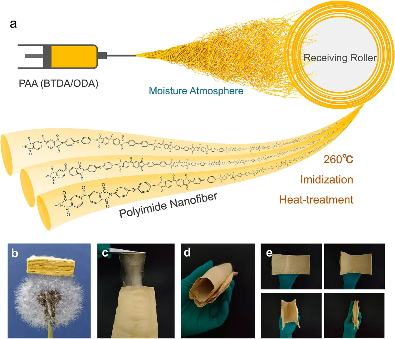 图1:(a) PI 纳米纤维气凝胶的制备流程示意图。(b) 光学照片展示了 PI-0 纳米纤维气凝胶的极轻特性,它甚至能够站立在蒲公英上。(c) 展示从 PI-0 纳米纤维气凝胶中剥离出一层超薄纳米纤维膜的图像。(d, e) 图像显示 PI-0 纳米纤维气凝胶在缠绕及折叠变形下仍保持优异的柔性