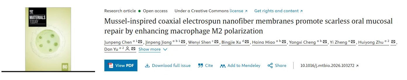 贻贝启发同轴纤维膜,实现口腔黏膜无痕修复