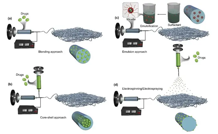 静电纺丝：生物活性剂装入EFs