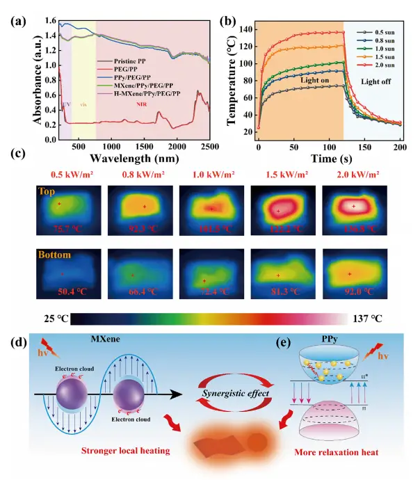 图5:纤维形貌与涂层演变SEM图像