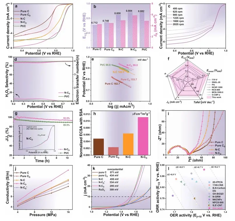 图3:卓越的双功能催化性能
