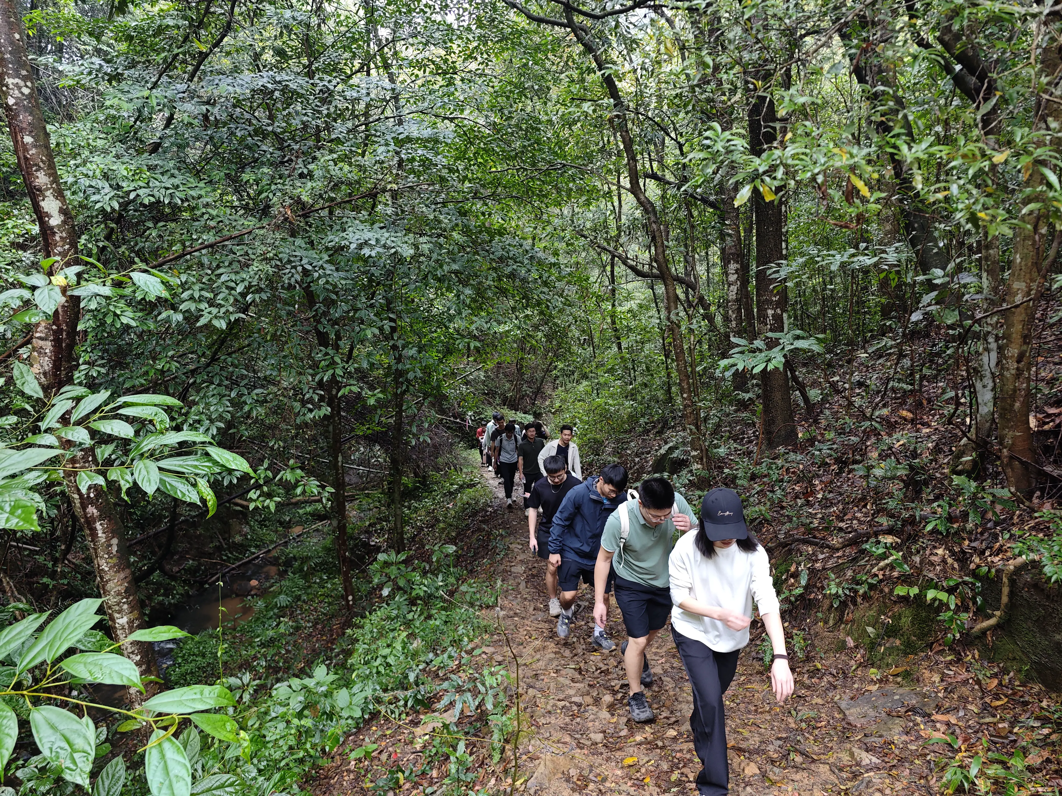佛山微迈团建2