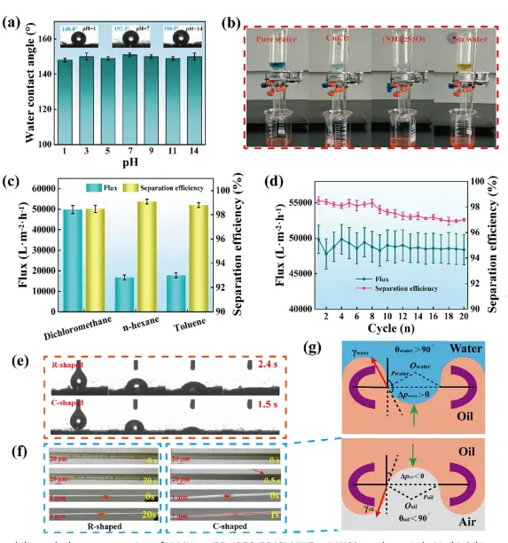 图4:复合材料的化学结构验证