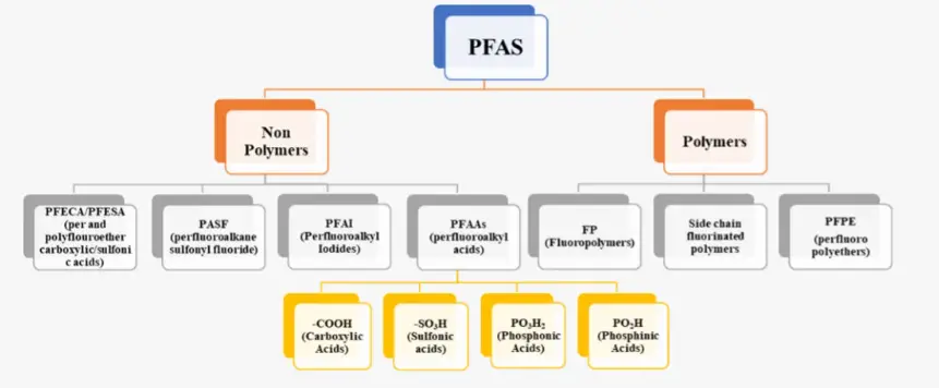 PFAS及其分类
