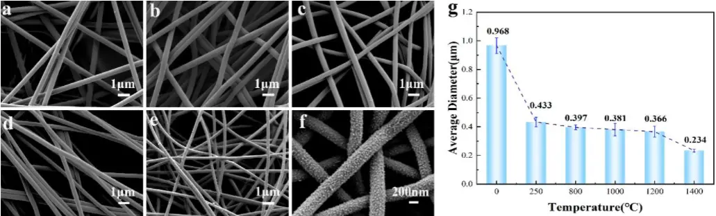 静电纺丝实验设备微迈科技Y掺杂碳纤维的SEM图像3