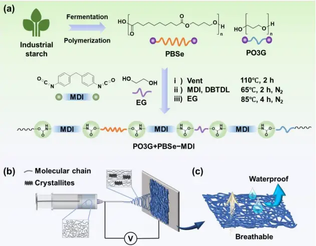 静电纺丝设备微迈科技-PBSe PO3G-BPU 的合成路线1