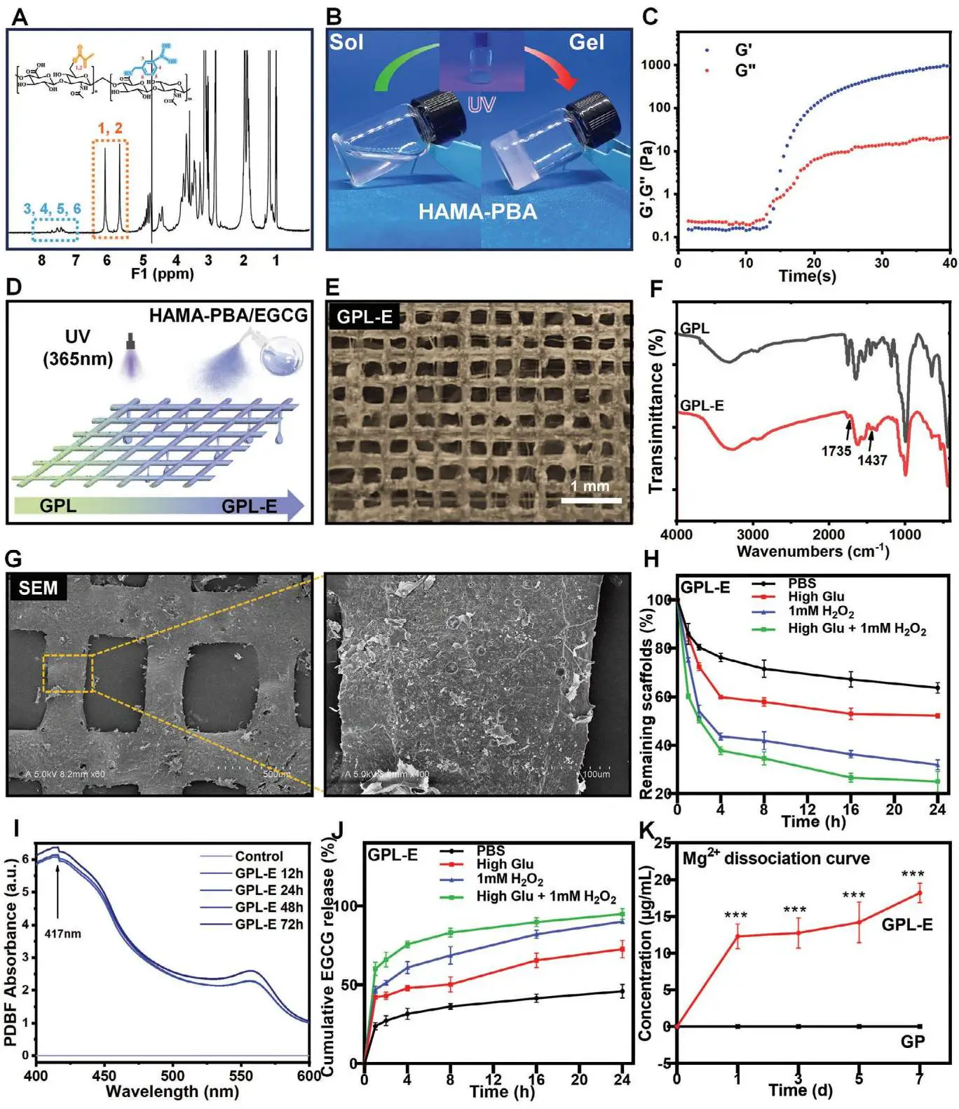 Adv Funct Materials - 2024 - Li - Grid Efferocytosis via Near‐Field Electrostat_05