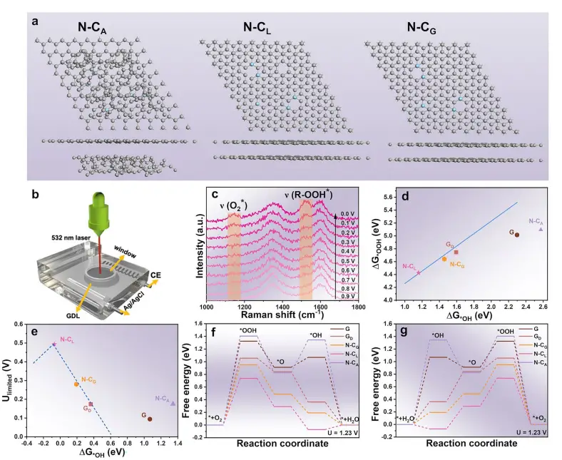 图5：理论计算揭示增强机制
