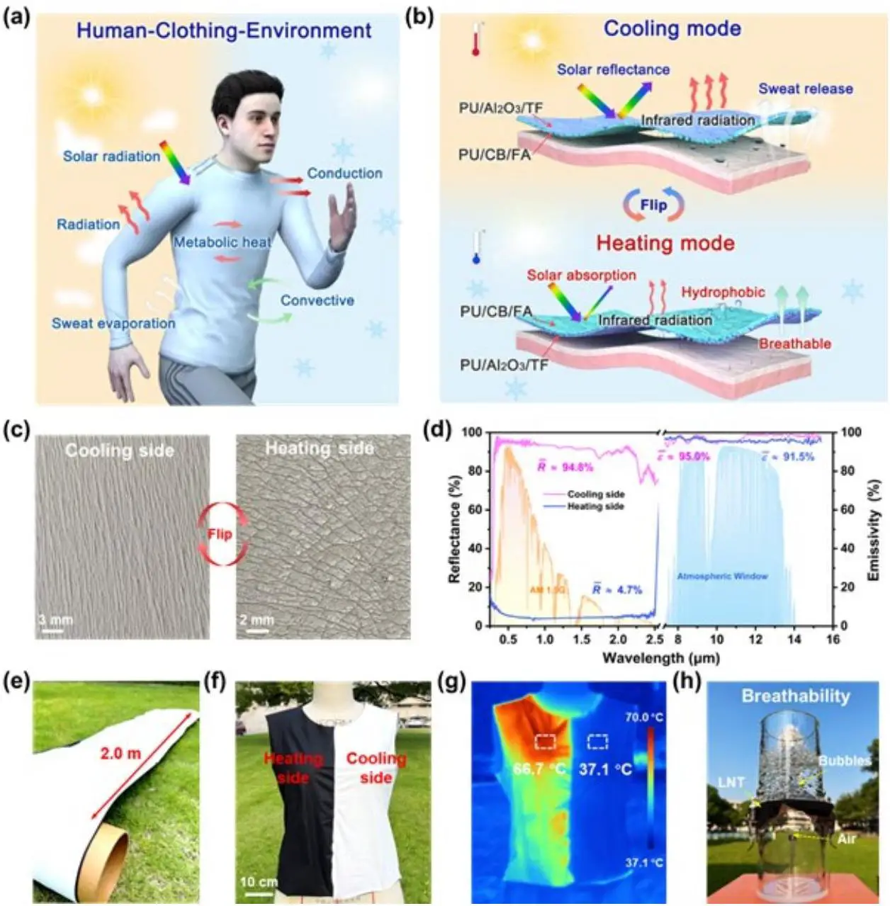 Advanced Materials - 2024 - Cheng - Breathable Dual‐Mode Leather‐Like Nanotext_07
