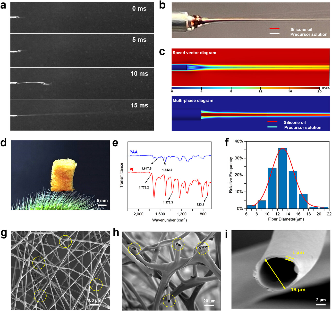 图2：微管形成机制与结构表征